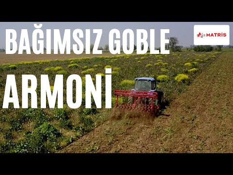 Bağımsız yaylı goble MATRİS  inanılmaz işçilik